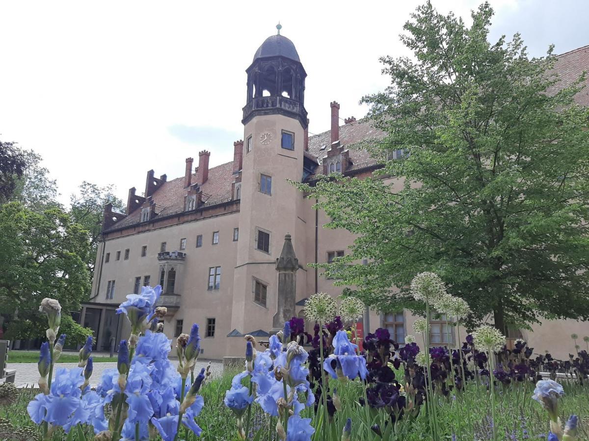Fewo Rosenbluete Am Stadtpark Wittenberg Eksteriør bilde